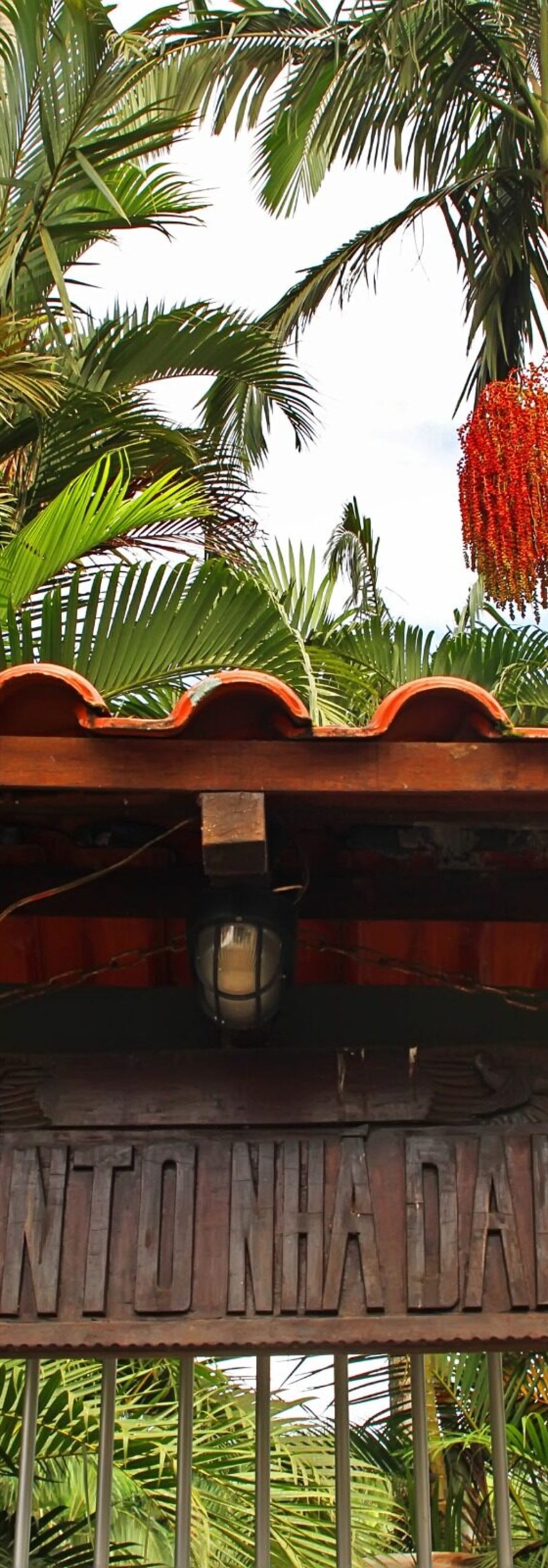 WhatsApp Image 2023-12-09 at 12.58.11_8c7c6c41